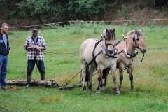 hora2008_4912