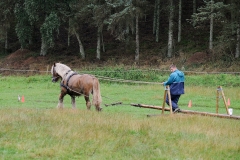 hora2008_4922