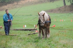 hora2008_4936