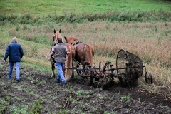 hora2008_5008