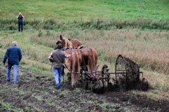 hora2008_5009