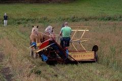 hora2008_5016