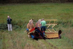 hora2008_5020