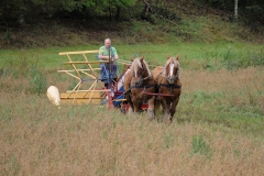 hora2008_5022