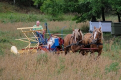 hora2008_5026