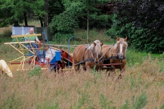 hora2008_5027