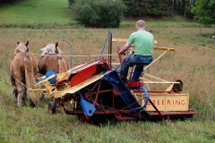 hora2008_5032