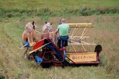 hora2008_5034