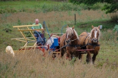hora2008_5062