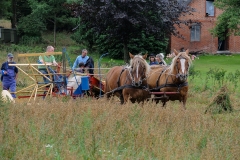 hora2008_5066