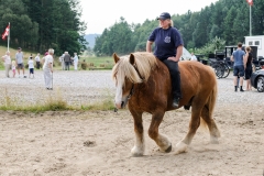 hora2009_5276