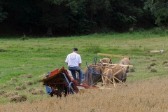 hora2009_5293