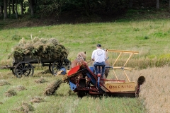 hora2009_5294