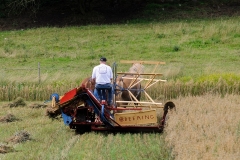 hora2009_5296