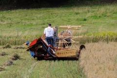 hora2009_5297