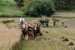 hora2009_5305