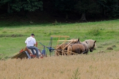 hora2009_5314