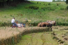 hora2009_5315