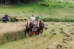 hora2009_5321