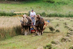 hora2009_5323