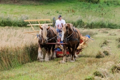 hora2009_5324
