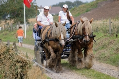 hora2009_5375