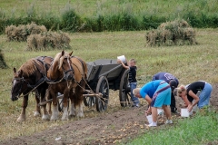 hora2009_5427