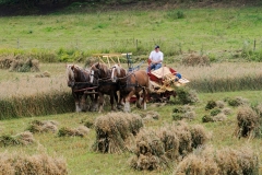 hora2009_5437
