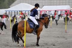 Landsfinalerne 2008