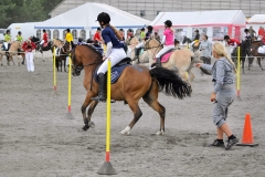 lf2008_0749