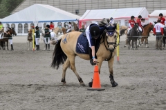 lf2008_0764