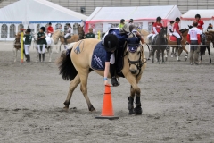 lf2008_0765