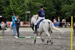 lf2008_0772