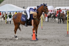 lf2008_0773