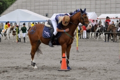 lf2008_0774