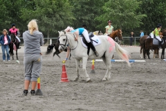 lf2008_0799