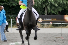lf2008_0821