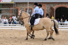 lf2008_0903
