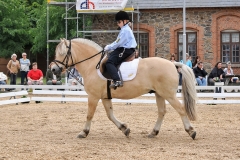 lf2008_0904