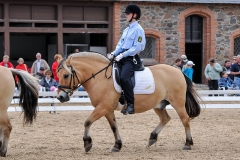 lf2008_0917