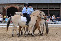lf2008_0971