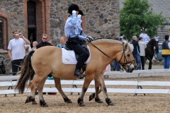 lf2008_0986