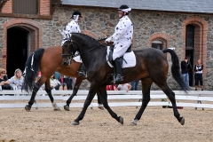 lf2008_1007