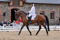lf2008_1008