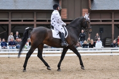 lf2008_1011