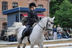 lf2008_1087
