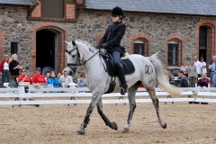 lf2008_1113