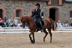 lf2008_1115