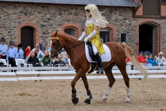 lf2008_1116