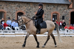 lf2008_1117
